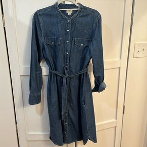 J. Crew Denim Dress with Opal Button Detail